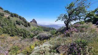 2023-04-GranCan-Caldera_los_Marteles-13.jpg